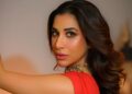 Troll da escola Sophie Choudry questionando sua carreira em Bollywood: uma mentalidade tão triste