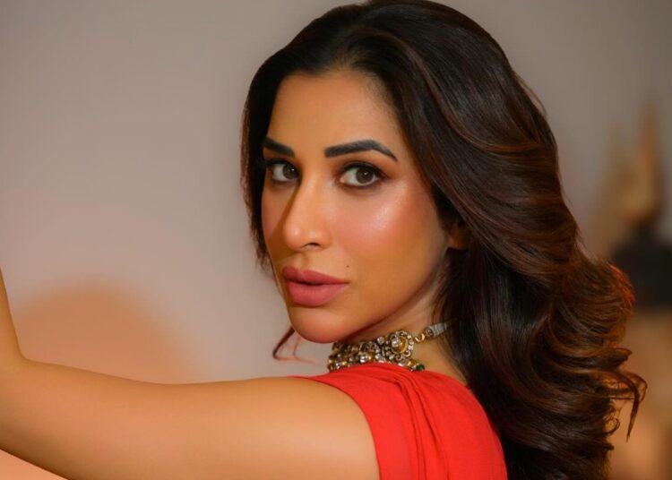 Troll da escola Sophie Choudry questionando sua carreira em Bollywood: uma mentalidade tão triste