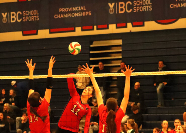 Vernon Panthers e Vernon Royals lideram as posições no vôlei BC