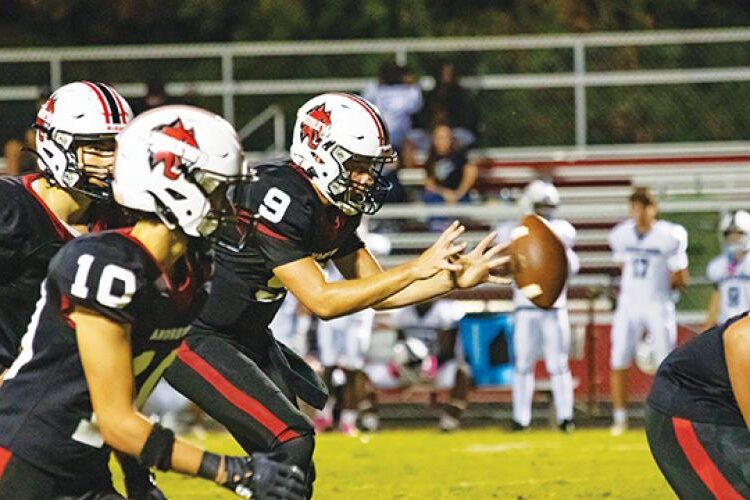 Wildcats conquistam Royals na primeira rodada