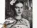 Broche de andorinha de Frida Kahlo Tane..jpeg