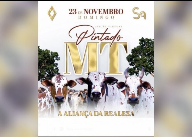 Vem ai  o Leilão a Aliança da Realeza do Nelore Pintando.
