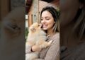 👑 Lulu da Pomerânia: De Cão de Trenó a Pet da Realeza (Por Que Ele É Tão Fofo?)