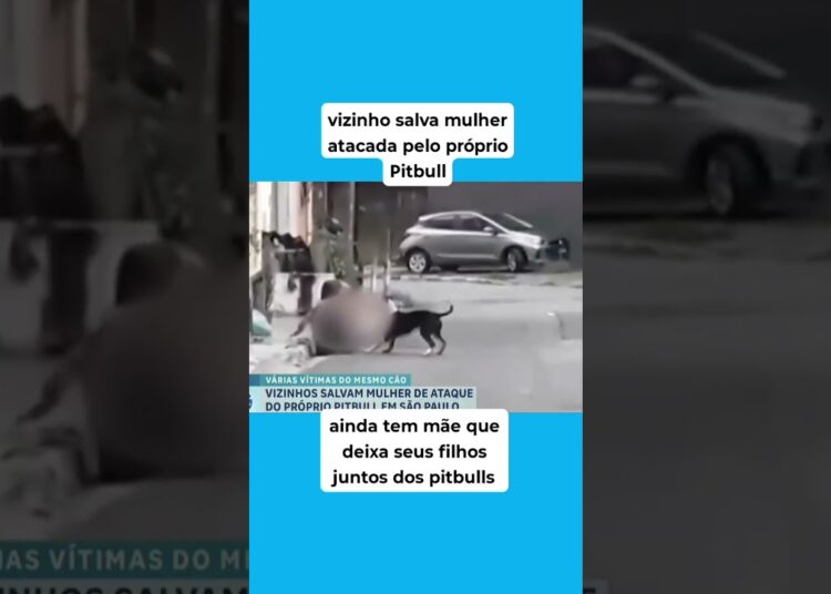 #fofocas #noticia #news #tragedia