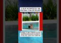 O QUE ACONTECEU NA PISCINA COM ZÉ FELIPE? #fofocas #noticias