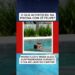 O QUE ACONTECEU NA PISCINA COM ZÉ FELIPE? #fofocas #noticias