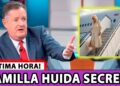 👑 ¡BOMBA en la realeza! ¿Camila huye de Reino Unido por un ATERRADOR hallazgo en la mansión?