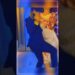 Esposa de Jajá e maquiador viral