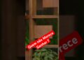 🔥 AFAZENDA 17 –  MESQUITA DIZ QUEM NÃO MERECE GANHAR O REALITY #afazenda17