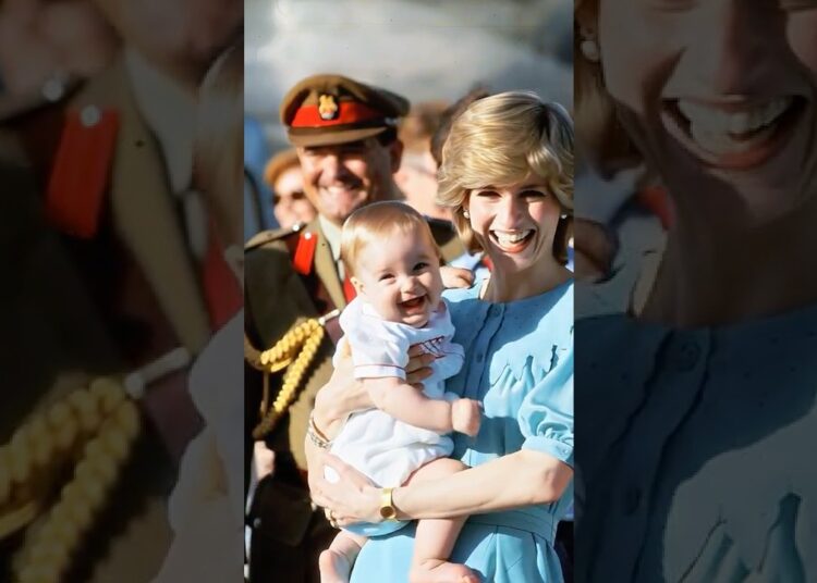 Simple joy of baby William in Diana’s arms 🌹 #princewilliam #royal #royalfamily #diana