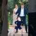 Louis dances cute, Harry Meghan love it#royal #princeharry #meghanmarkle #princelouis #dance
