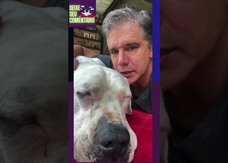 TRISTE !! MÁRCIO GARCIA DESABAFA AO FALAR DE FORMA EMOCIONANTE DA MORTE DE SEU COMPANHEIRO ! #short