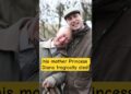 “Prince William: The Making of a Future King” #britishroyalfamily #princewilliam