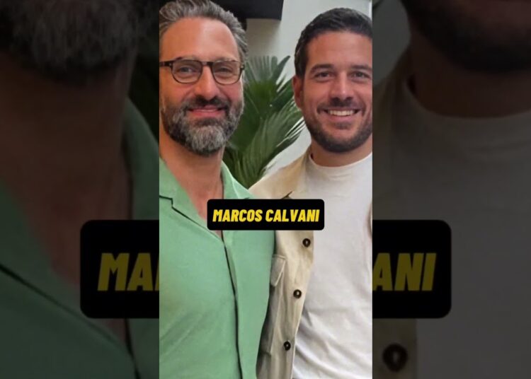 Veja quem são os parceiros dos famosos #famosos #react #celebridades #fofoca