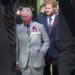 Harry e Charles à beira da reconciliação chocante?#shortsfeed #shortsyoutube