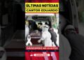 M0RRE CANTOR EDUARDO HOJE! BRASIL CH0RA #shorts #noticias #famosos #shortsfeed