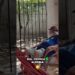 Fofocas do Bill: A Verdade Nua e Crua! Fique Sabendo de Tudo! #shorts