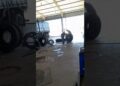 os guri da Michelin da 182 realeza pr