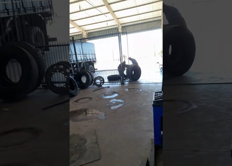 os guri da Michelin da 182 realeza pr