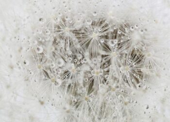 Isto é o que prevê para todos os signos do zodíaco – Celebrity Land