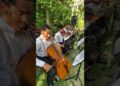 Tarzan – You’ll Be In My Heart | Orquestra Realeza Musical | Músicos Para Casamento