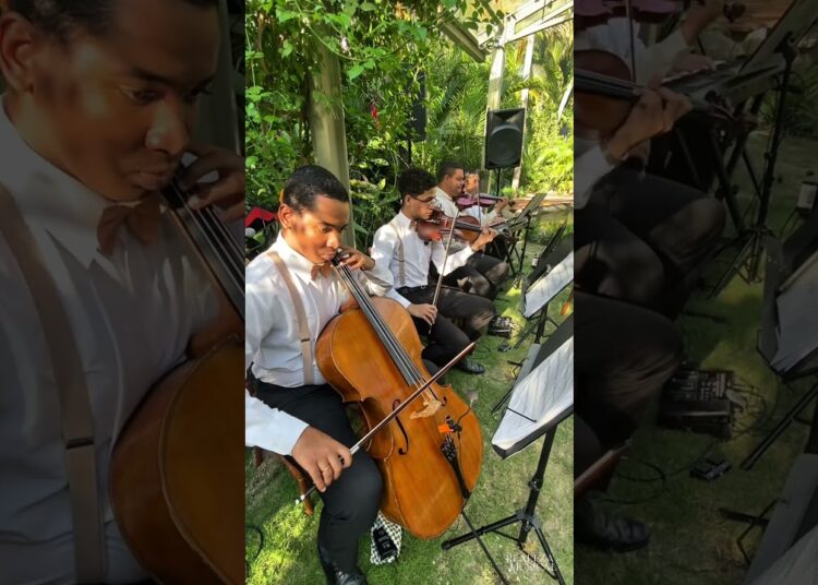 Tarzan – You’ll Be In My Heart | Orquestra Realeza Musical | Músicos Para Casamento