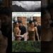 #fofocas #noticias #shortsfeed #shortsviral