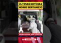 M0RT3 NO SERTANEJO HOJE! #noticias #noticia #noticiasmundiais #ultimasnoticia
