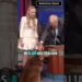 Amanda Seyfried’s Dog Has Many Talents | Shorts #AmandaSeyfried