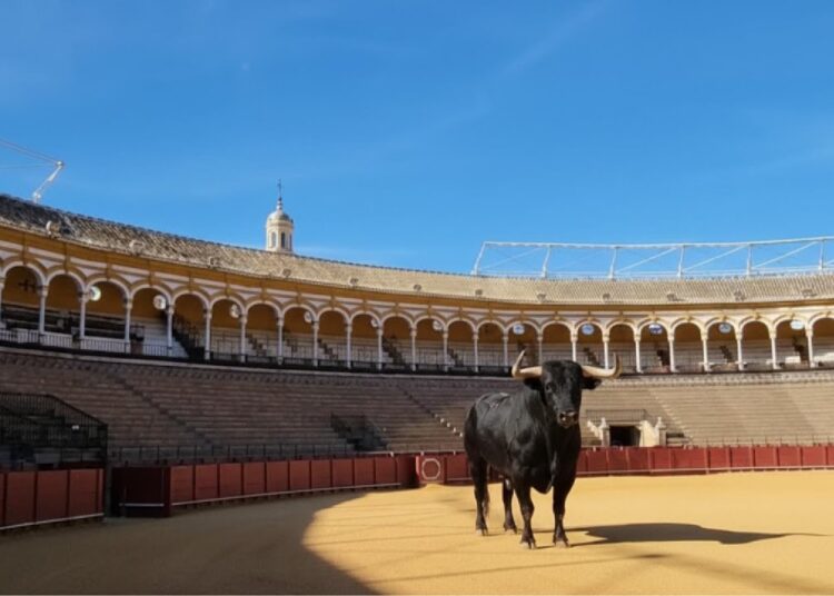 POR DENTRO DA ARENA DE TOUROS DE SEVILHA | O Símbolo da Realeza Espanhola