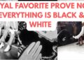 ROYAL FAVORITE PROVES IT’S NOT ALL BLACK & WHITE! #history #FUN #royal