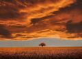 Isto é o que prevê para todos os signos do zodíaco – Celebrity Land