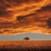 Isto é o que prevê para todos os signos do zodíaco – Celebrity Land