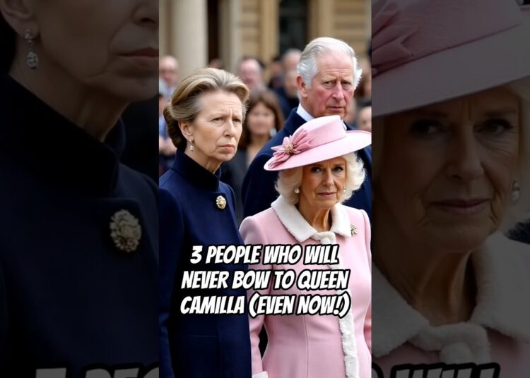 3 People Who Will NEVER Bow to Queen Camilla (Even Now!) #anne #camilla #royal #kate #diana #meghan
