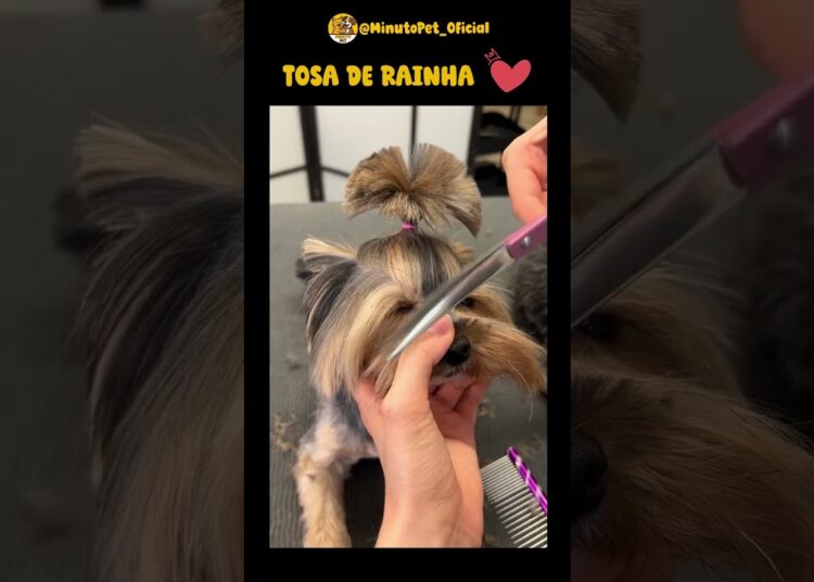 Tosando a realeza