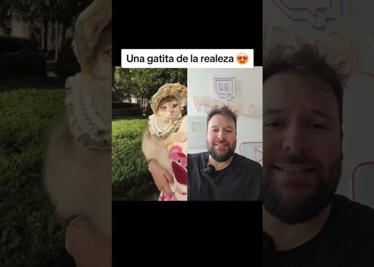 Ese #gatito pertenece a la realeza 😱🤑