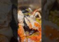 Shellfish royalty 🫅 #playgrubbin #asmr #mukbang #seafood #foodie
