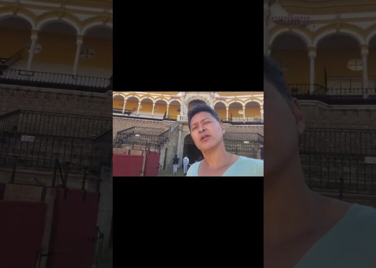 Esse espaço era proibido para o povo! #shortvideo #viral #tourada #espanha #realeza #historia #vlog