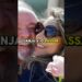 LULA TRANSFORMA BASE NAVAL EM RESORT PRA PASSAR O REVEILLON? #lula #política #anonovo #brasil