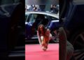 Meghan’s Red Carpet Moment That Stopped Everyone Celebrity Royals #royalfamily