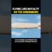 Flying like royalty on the Hindenburg #science #usa #knowledge #fyp