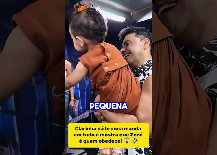 CLARINHA IMPACIENTE QUERENDO O COLO DO ZEZÉ! #fofoca #celebridades #famosos