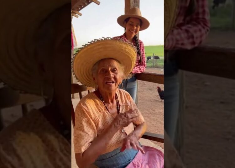 nova neta de joobeuza #fofocas #fofocasdecelebridades #fofocasdosfamosos #noticias