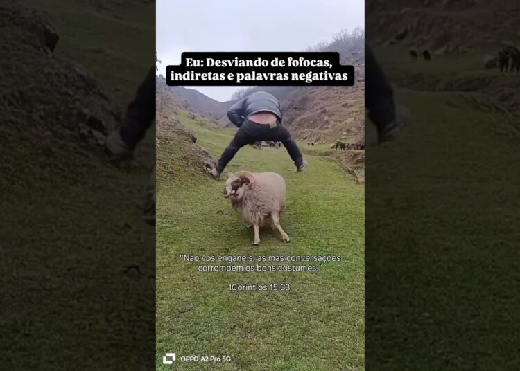 DESVIANDO DE FOFOCAS, INDIRETAS E PALAVRAS NEGATIVAS #renanchaves