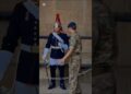 MERRT CHRISTMAS 🎅#realeza #peterellis #buckinghampalace #royalfamily #royalguard #military #respect