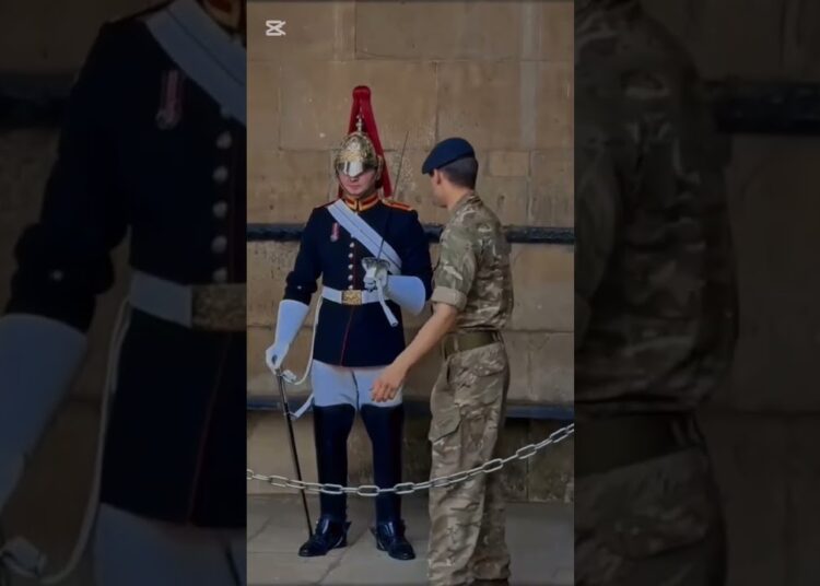 MERRT CHRISTMAS 🎅#realeza #peterellis #buckinghampalace #royalfamily #royalguard #military #respect