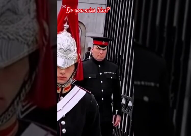 DO YOU MISS HIM?#buckinghampalace #kingsguard #shorts #realeza #peterellis #respect #military #king