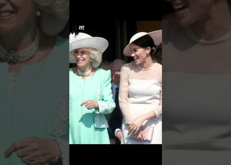 When Meghan and Harry used to be senior Royals.