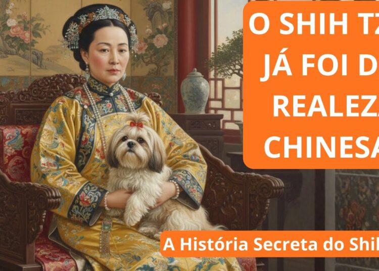 SHIH TZU A História Secreta do Cão da Realeza Chinesa 👑🐶  Do Palácio Imperial ao Mundo