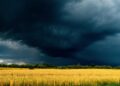 5 razões pelas quais o meteorologista local era uma celebridade total